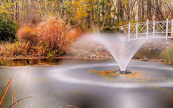 How To Find The Right Water Fountain Pump and Hot Water Recirculating Pump for Your Needs