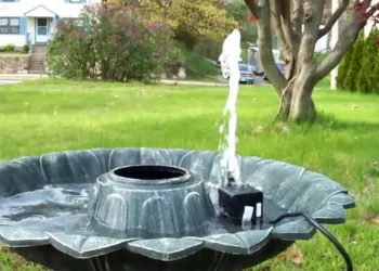 Take care of your Plant Nursery with a beautiful Fountain Water Pump