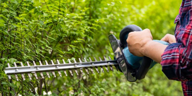 Best Hedge Trimmers for Homeowners: Electric vs. Gas vs. Manual