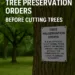 Understanding Tree Preservation Orders Before Cutting Trees: United Kingdom