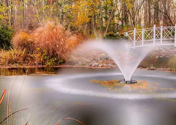 How To Find The Right Water Fountain Pump and Hot Water Recirculating Pump for Your Needs