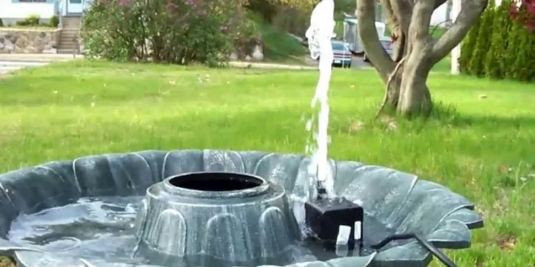 Take care of your Plant Nursery with a beautiful Fountain Water Pump