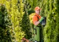 The Ultimate Guide to Hedge Trimming: Tools, Techniques, and Timing