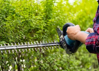 Best Hedge Trimmers for Homeowners: Electric vs. Gas vs. Manual