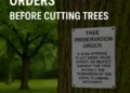 Understanding Tree Preservation Orders Before Cutting Trees: United Kingdom